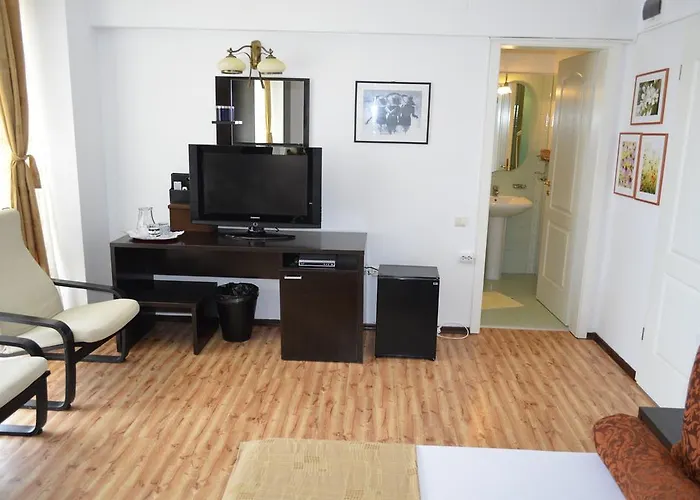 Guest house Trident Costinesti